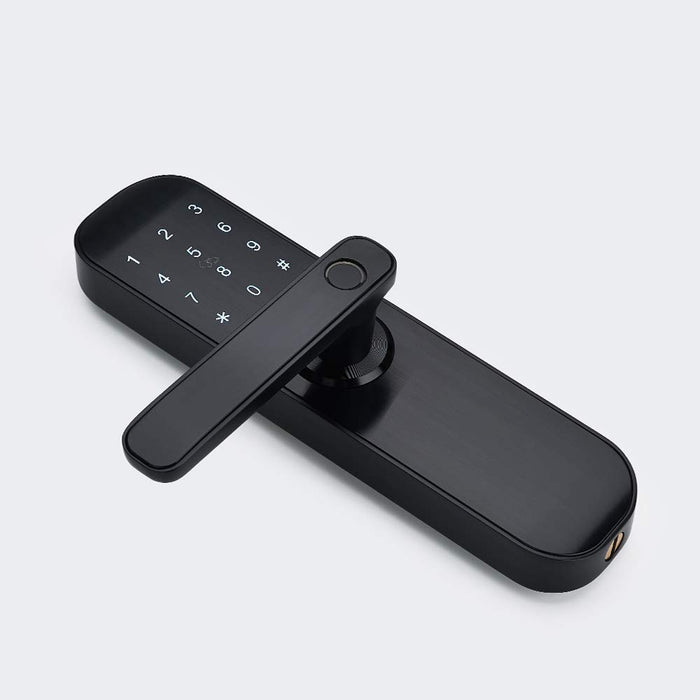 HAIFUAN M20 Bluetooth Digital Lock,Unlock with Card, Code, App (Compatible with Alexa) (Left Hand)