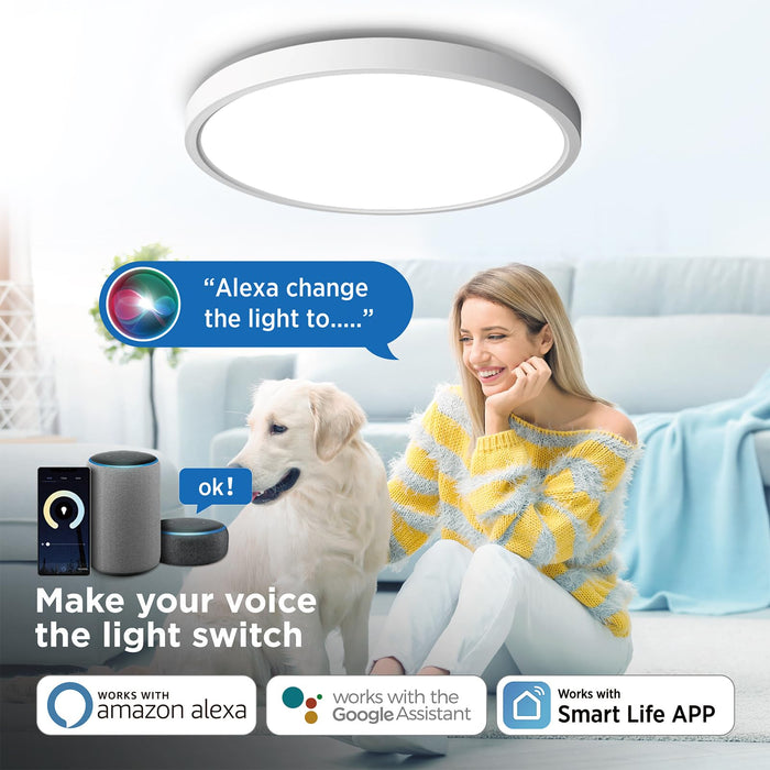 Taloya Smart Ceiling Light, APP Control Compatible with Alexa Echo Google Home, 12 Inch Dimmable Flush Mount Ceiling Light for Bedroom