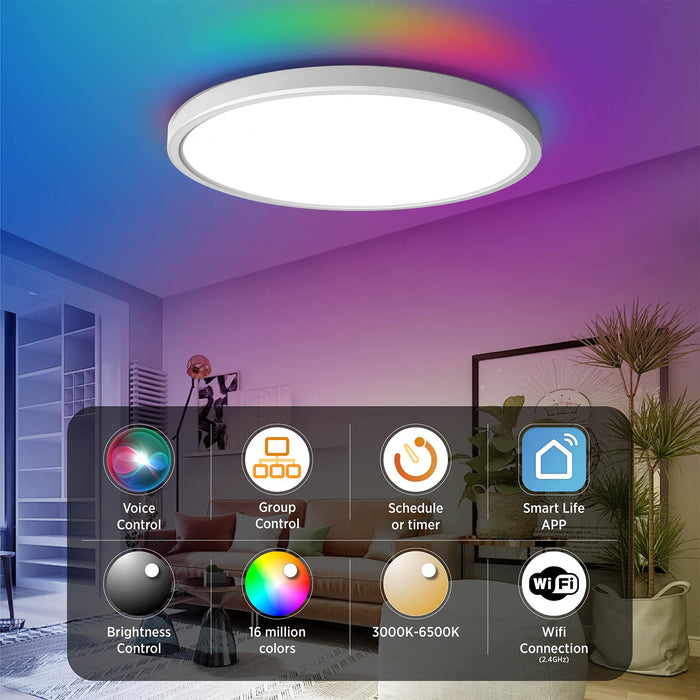 Taloya Smart Ceiling Light, APP Control Compatible with Alexa Echo Google Home, 12 Inch Dimmable Flush Mount Ceiling Light for Bedroom